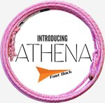 ATHENA with core