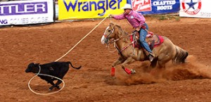 Calf Roping Tie Down Roping