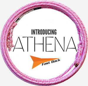 ATHENA with core