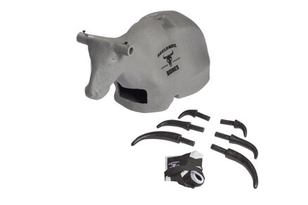 Header Dummy BONES