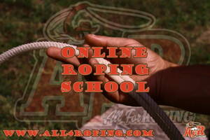 Online roping school