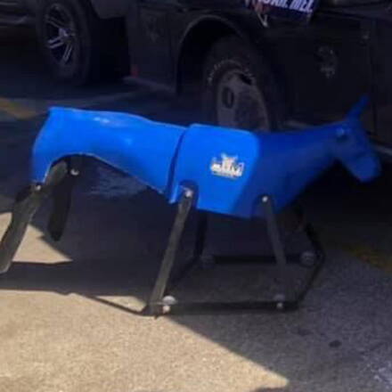 Dummy on the wheels